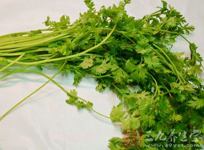 冬瓜，羊肉，蔥姜蒜，鹽，香菜