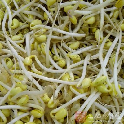 豬大腸400g，嫩姜絲100g，黃豆芽100g