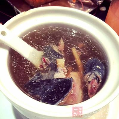 民間有“要吃飛禽，鴿子鹌鹑。”這樣的說法