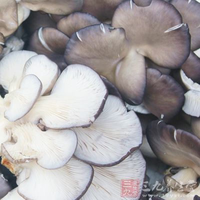 平菇能夠改善人體的新陳代謝和增強體質的作用
