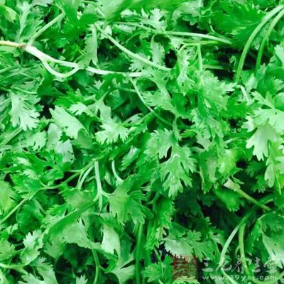 牛肉500公克,豬皮300公克,香菜2根 牛肉500公克,豬皮300公克,香菜2根