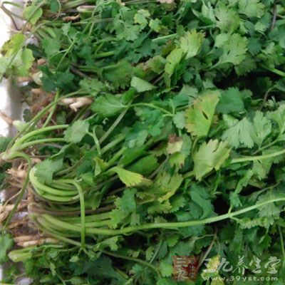 鮮豬血，豬腸，香菜末