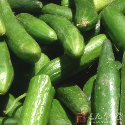 紫甘藍，素蝦仁，黃瓜