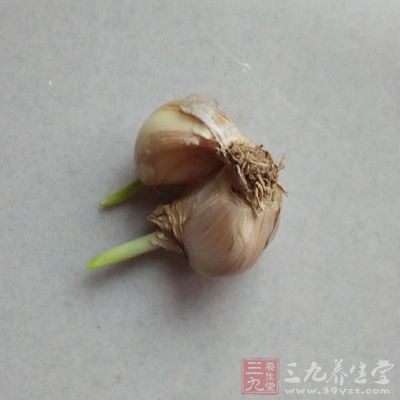 焖子一塊、芝麻醬一大勺、蒜4瓣、醬油兩勺、醋一勺