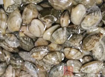 花甲500g、香菜少許、食用油、生姜、辣椒、蒜、花椒、醋
