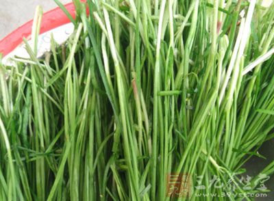 狗肉清湯(適量)，韭菜(適量)