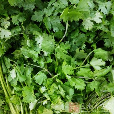 羊腿500g、香菜碎、蒜苗碎、生姜、小茴香花椒粒、鹽 羊腿500g、香菜碎、蒜苗碎、生姜、小茴香花椒粒、鹽