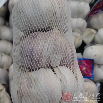 細面條(鮮)300克、菠菜尖 100克、大蒜15克 細面條(鮮)300克、菠菜尖 100克、大蒜15克