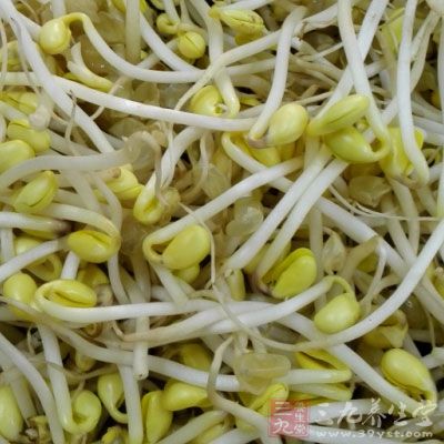 豆芽適量，蘑菇適量，香菇丸適量