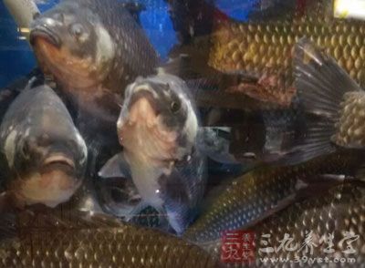 草魚，豆皮，金針菇，洋蔥，青椒
