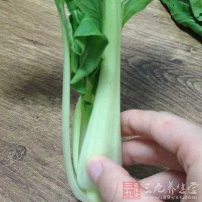 烏冬面，青菜，胡蘿卜，熱狗，肉丸子