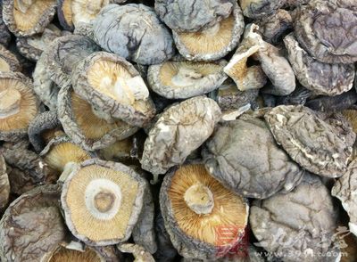 香菇有益氣祛濕、養胃潤肺、治風化痰的功效