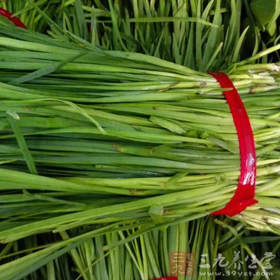 雞油膏,韭菜、沙姜、紅蔥頭、芫茜、洋蔥、香芹等 雞油膏,韭菜、沙姜、紅蔥頭、芫茜、洋蔥、香芹等