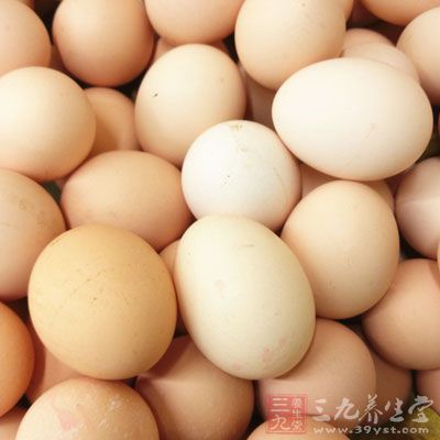 雞蛋豆類補足優質蛋白質