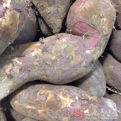 紅薯能夠提高人體內的白血球