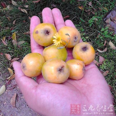 輕而易舉的把枇杷皮剝離下來
