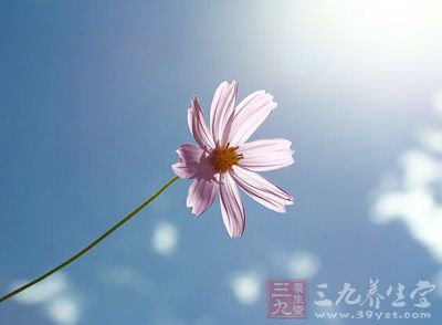 我們提到升陽,那麼先要明白陽氣是什麼 我們提到升陽,那麼先要明白陽氣是什麼