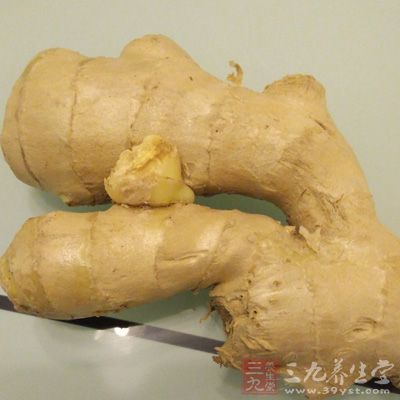 豬筒骨，茅根，竹蔗，姜，鹽