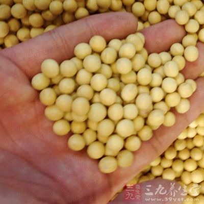 黃豆、梅干菜、冬菇可放在保鮮盒裡泡發