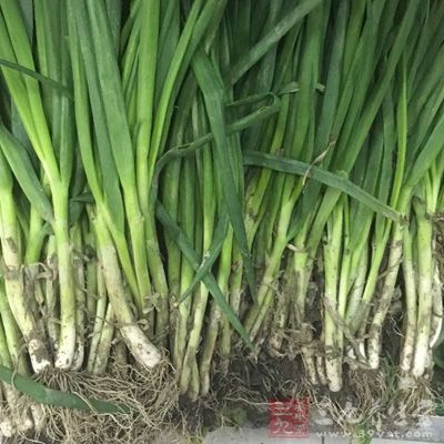 臘魚1塊、排骨2根、大蔥3克、姜5克、蒜5-6瓣