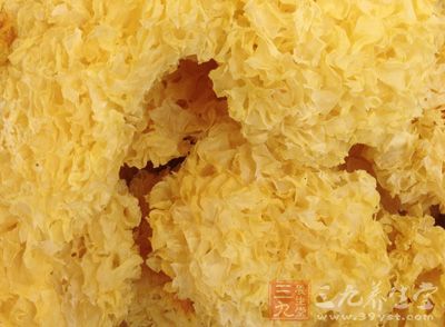 銀耳是一種很好的滋補食物