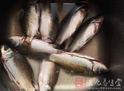 鲫魚、蔥、阿膠、姜、花雕酒、鹽