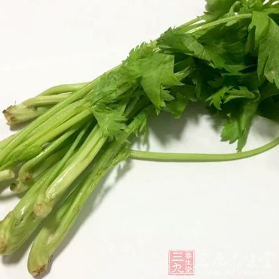 芹菜是我們生活中常見的蔬菜 芹菜是我們生活中常見的蔬菜