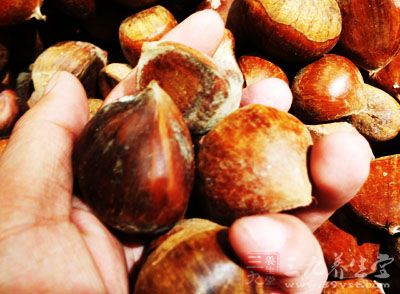 冬季,是栗子成熟的季節 冬季,是栗子成熟的季節