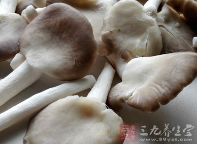 第一步需要的食材，平菇、鮮菇、金針菇