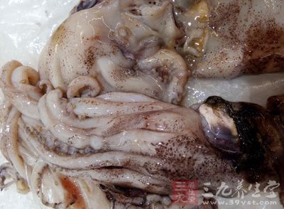 鮮鱿魚2條,豆瓣一大勺,干紅椒20個,姜2片,糖,料酒 鮮鱿魚2條,豆瓣一大勺,干紅椒20個,姜2片,糖,料酒