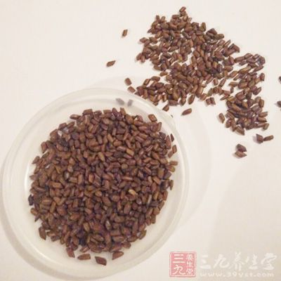 決明子海帶湯 決明子海帶湯