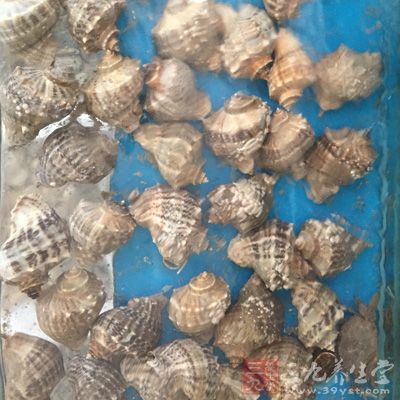 海螺肉300克，韭菜300克，料酒，姜片，枸杞，鹽，味精