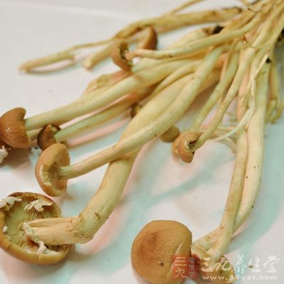 牛肉，雞腿菇，醬油，糖，生粉
