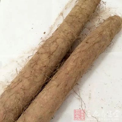 山藥富含多種維生素、氨基酸和礦物質 山藥富含多種維生素、氨基酸和礦物質