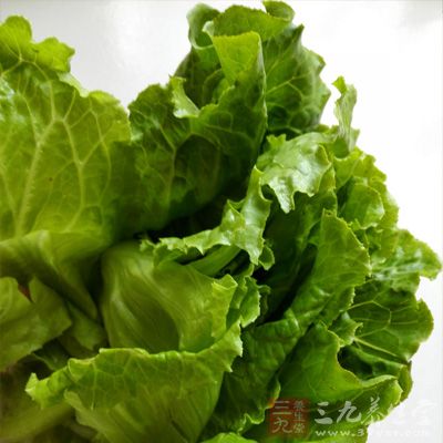 生菜安神、清熱、促進生長、發育 生菜安神、清熱、促進生長、發育