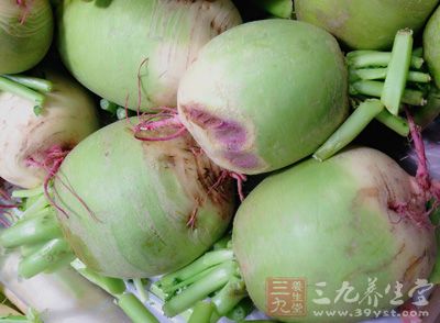 心裡美蘿卜、圓蔥、油雞粉 心裡美蘿卜、圓蔥、油雞粉