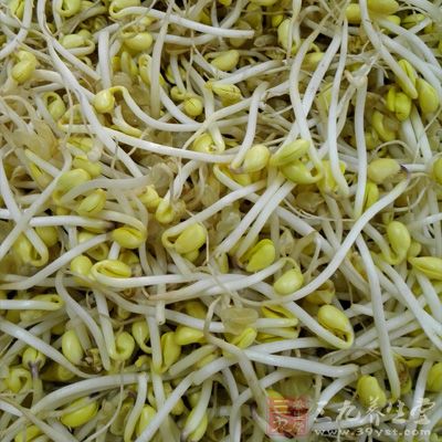 黃豆芽清熱利濕、潤膚、富含胡蘿卜素 黃豆芽清熱利濕、潤膚、富含胡蘿卜素
