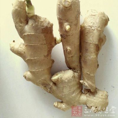 姜降逆止嘔、化痰止咳、散寒解表
