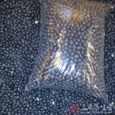 黑豆是各種豆類中蛋白質含量最高的 黑豆是各種豆類中蛋白質含量最高的