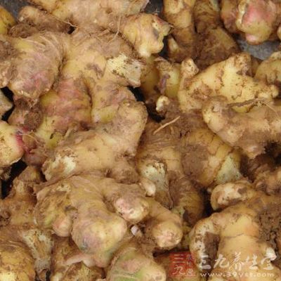 腐爛後的生姜產生一種毒性很強的黃樟素 腐爛後的生姜產生一種毒性很強的黃樟素