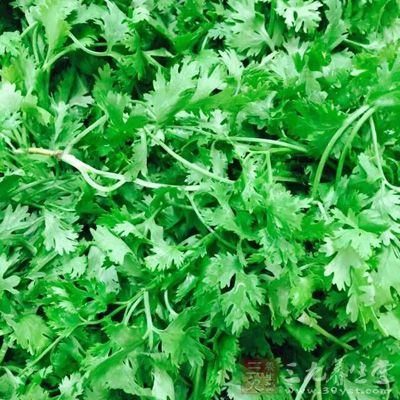 小麥面粉500克,羊肉(瘦)500克,香菜30克,大蔥50克 小麥面粉500克,羊肉(瘦)500克,香菜30克,大蔥50克