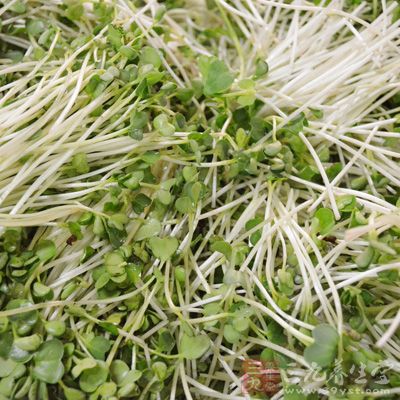 核桃仁，豌豆苗，鹽，白糖，米醋，生抽，橄榄油，蒜