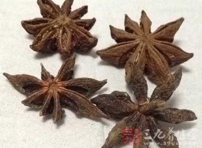 八角1錢、花椒1錢、蔥2支