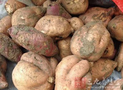 黃心番薯約400g