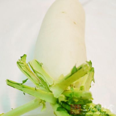 蘿卜一直有“小人參”這個稱呼 蘿卜一直有“小人參”這個稱呼