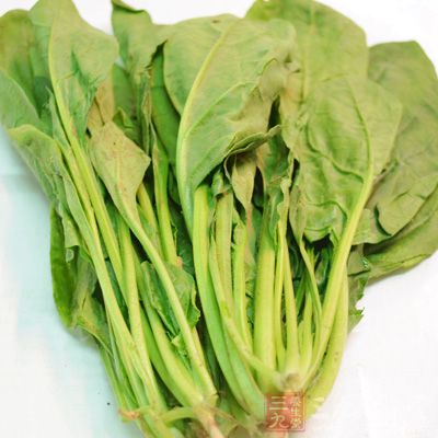綠色食物助肝髒排毒 綠色食物助肝髒排毒