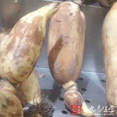 豬骨500克,蓮藕350克,眉豆100克,鹽適量 豬骨500克,蓮藕350克,眉豆100克,鹽適量