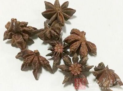 適量的八角 適量的八角