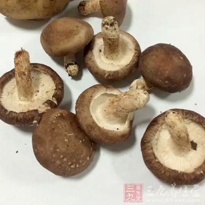 香菇可以抗癌、抗氧化、提高免疫力