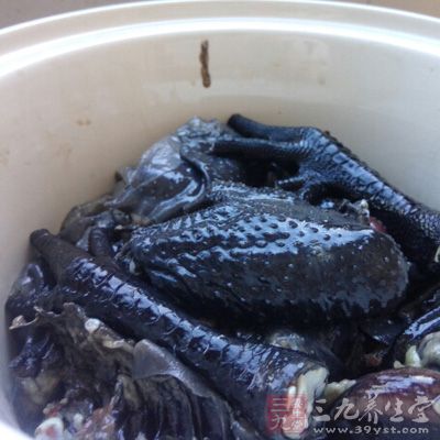 補鈣補腎增強抵抗力的一款湯菜 補鈣補腎增強抵抗力的一款湯菜
